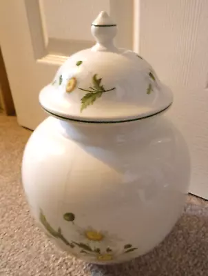 Buy James Kent (Old Foley) Daisy Large Jar With Lid • 25£
