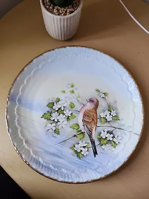 Buy Vintage Limoges Hand Painted Bird Dinner Plate  • 9.99£
