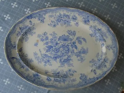 Buy Antique Staffordshire Asiatic Pheasant Blue Oval Platter, Edge Malkin & Co • 7£