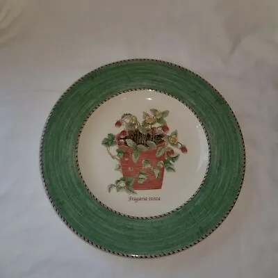 Buy Wedgwood Sarah's Gardens Salad Plate Made In England • 37.94£