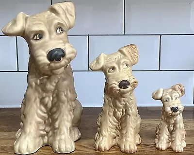 Buy 3 Vintage Sylvac Terrier Dog Ceramic Made In England #1378, 1379, 1380 • 50£