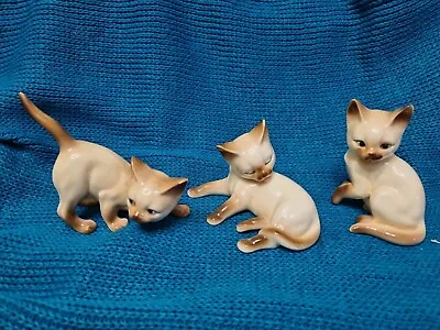 Buy Vintage Set Of 3 Lovely Siamese Cat Foreign Bone China Cream Brown • 6£