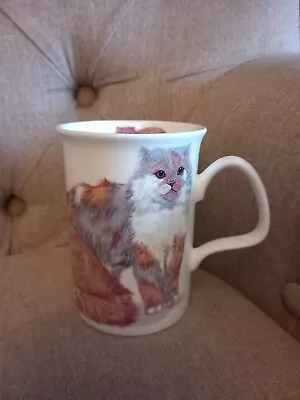 Buy Roy Kirkham - Cats Galore Mug - Persian • 6£