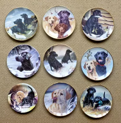 Buy Danbury / Franklin Mint Royal Doulton Decorative Plates Of Labrador Dogs X 9 • 49.99£