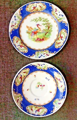 Buy BOOTHS MAPLE OF LONDON - HAND PAINTED ‘BIRDS OF PARADISE ‘ Side Plate & Saucer • 1.50£