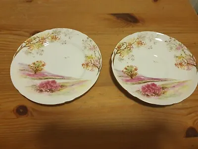 Buy Vintage Shelley China, Saucer & Side Plate  'Old Ireland' Pattern • 9.99£