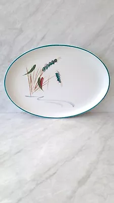 Buy Denby Greenwheat Stonewear Signed Oval Serving Platter 12 1/2  Discontinued  • 9.99£