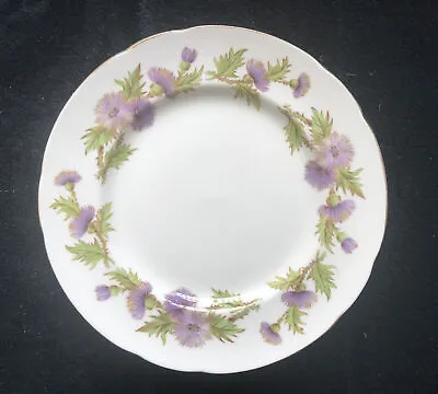Buy Paragon Porcelain HIGHLAND QUEEN Pattern Tea Plate -15.5 Cm In Diameter • 1.99£