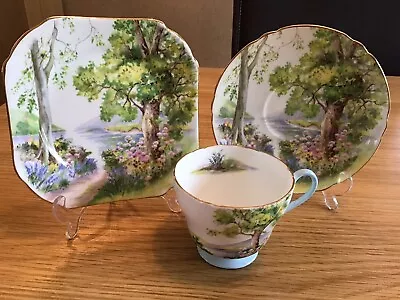 Buy Shelley England Fine Bone China Tea Cup Saucer & Plate Trio Woodland -Vintage • 43.23£