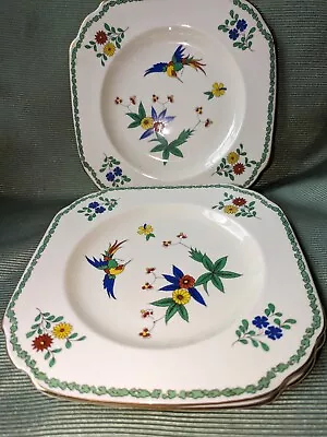 Buy TUSCAN PLANT CHINA Birds Of Paradise Set 5 Plates 15cm • 24£