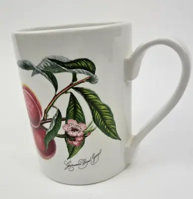 Buy PORTMEIRION  POMONA Goddess Of Fruit Greenwoods Royal George 29 Peach Cup Mug • 7.99£