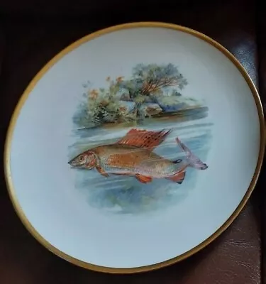 Buy Vintage Bohemia  - Freshwater Fish Dinner Plate Greyling   VGC   • 4.50£
