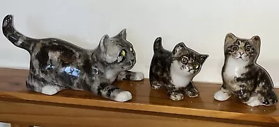 Buy 3x Vintage Jenny Winstanley Playful Tabby Cats Size 3. & 2 Size One All Perfect • 60£