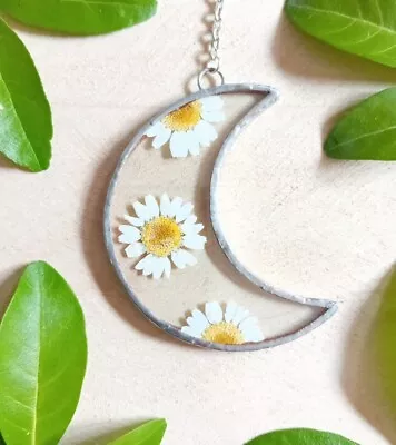Buy Stained Glass Crescent Moon With Pressed Daisy Suncatcher Hanging Decor Daisies  • 17.99£