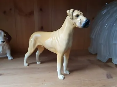 Buy Beswick Great Dane Figurine Dog Glazed 17.5cm High (B47) • 25£