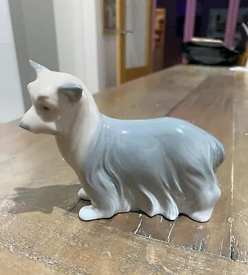 Buy Lladro Yorkshire Terrier Dog Porcelain Figurine #8318 - Excellent Condition • 20£