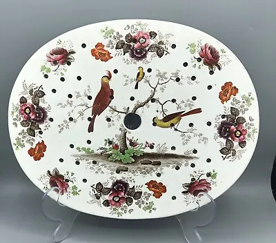 Buy Antique Pottery Ridgway Pearlware  Transfer Printed Drainer.Oriental Birds C1830 • 165£