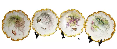 Buy Antique T&V Tressemann & Vogt Limoges Hand-Painted Floral Gold 9.25  Plates Set • 158.47£