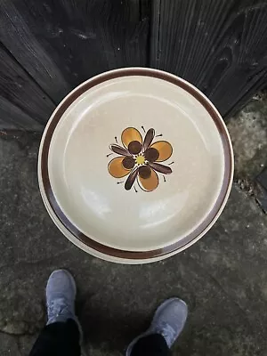 Buy Vintage Ceramic Honey  Bee - Genuine Stoneware Floral Dinner Plate Replacement • 8.54£