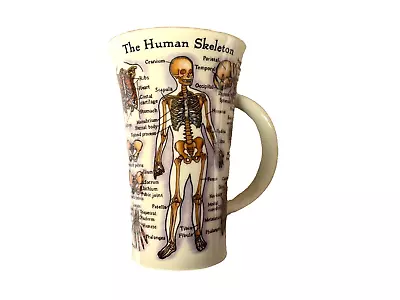 Buy Dunoon Glencoe Mug Human Skeleton • 14£