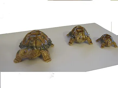Buy Wade Porcelain Tortoise Family • 20£