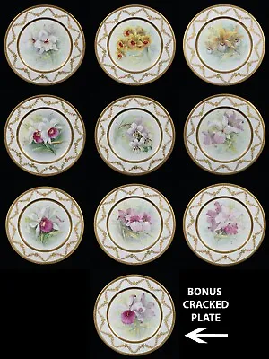 Buy Rare1 Antique Wileman & Co The Foley China Flower Pattern Plate Series 79.10448 • 768.39£