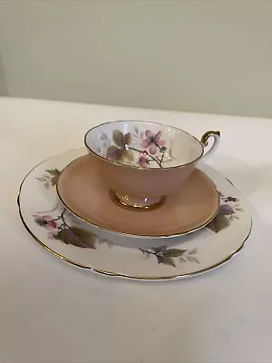 Buy Shelley Matte Pink Teacup Saucer & Plate England Fine Bone China Flowers 1455. • 347.45£