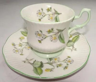 Buy Queen's Fine Bone Rosina China Cup & Saucer White Flowers, Made In England NEW • 18.93£