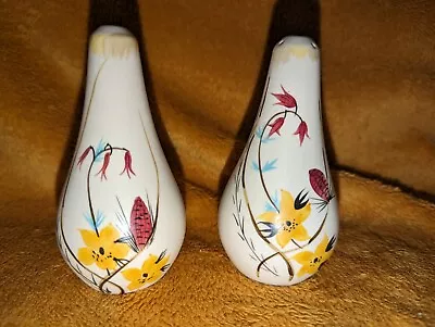 Buy Edward Radford Hand Painted Pottery ~ Floral Salt And Pepper Pot ~ England VGC • 8£