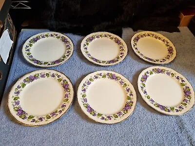 Buy Vintage 6 X 8  Plates Swinnertons Luxor Vellum Purple Violets Regd No: 837606 • 18.99£