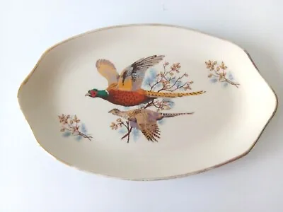 Buy Vintage West Highland Pottery Oval Plate Pheasant Dunoon Argyll Made Scotland • 19£