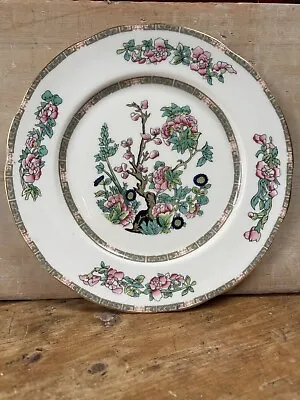 Buy Vintage Duchess Dinner Plate, Indian Tree Pattern, Bone China, Made In England. • 8.99£