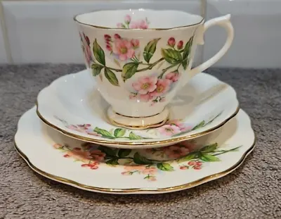 Buy Vintage Royal Albert Evesham Trio Tea Cup Saucer Side Plate Pink Flowers A • 14.49£
