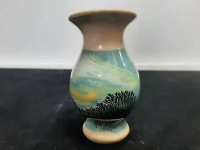 Buy Roger Irving Little Boscastle Pottery Vase • 10£