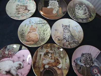 Buy Royal Worcester Kitten Classics Cat Plates 1985  Hamilton Collection Full Set • 35£