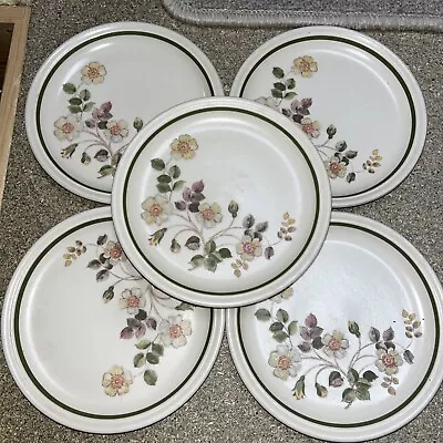 Buy Marks And Spencer Autumn Leaves Side Plates 5x Used Cond 1980-92 6.5 Ins • 9.99£