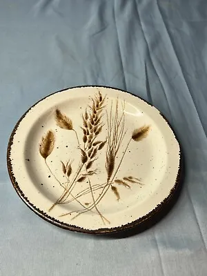 Buy Midwinter Beige Wild Oats Stonehenge Round Oven To Tableware Salad Plate 7 Inch • 18.12£