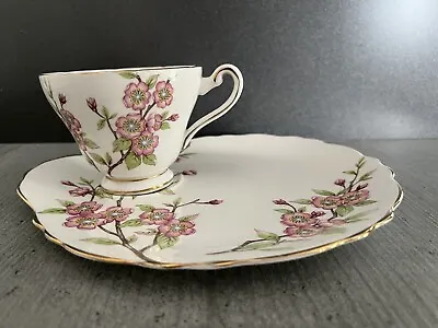 Buy Rare Tuscan ‘Springtime’ Fine English Bone China Tea Cup And Cake Plate • 45£