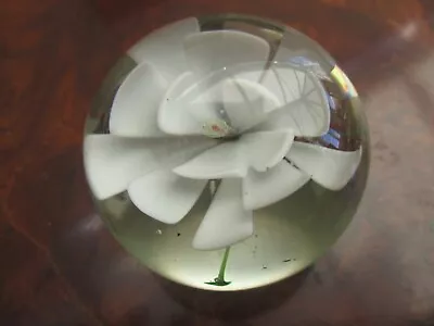 Buy Glass Paperweight With White Flower Hand Blown  • 2.97£