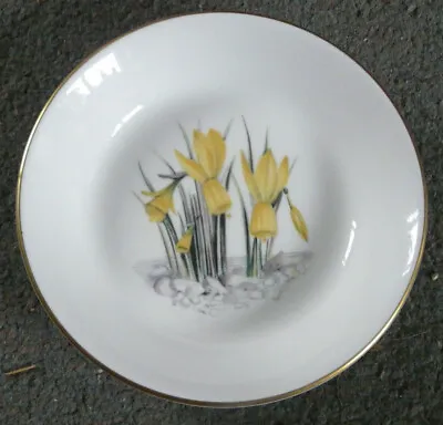 Buy Royal Worcester Fine China Made In England Daffodil Yellow Flower Bowl • 0.99£