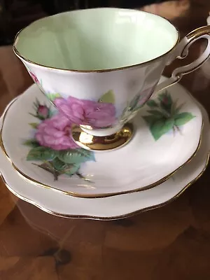 Buy Royal Standard Prelude Tea Cup Set • 14£