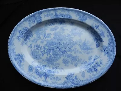 Buy Antique Copeland Oval Birds And Flowers Pattern Meat Serving Platter - 38cm • 14.99£