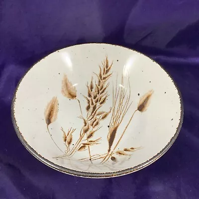 Buy Midwinter WILD OATS Cereal Bowl 6 1/2  • 13.72£