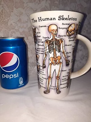 Buy Dunoon Mug 'The Human Body' Bone China Tall Mug - New & Unused. • 4.99£
