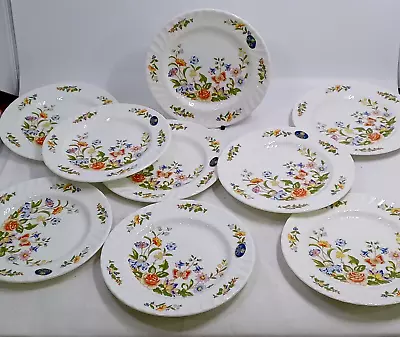 Buy Aynsley Cottage Garden Tea Plates / Set Of 8 / With Labels • 19.99£