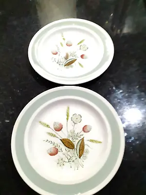 Buy Woods Ware Clovelly2x Side Plates • 10£