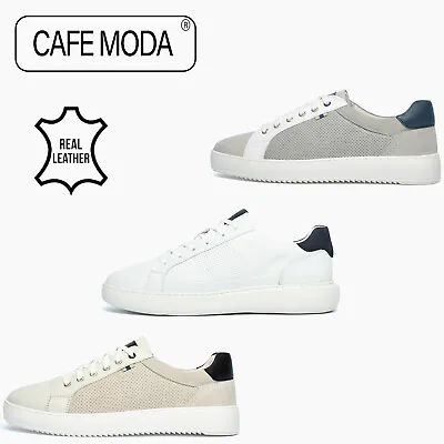 Buy REAL LEATHER Cafe Moda Continental Casual Smart Classic Sneakers Trainers • 19.99£