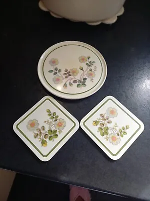 Buy M&s Autumn Leaves Melamine Teapot Stand & 2 X Coasters In Excellent Condition • 5£