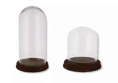 Buy Set Of 2 Glass Display Bell Jar Oval Cloche On Dark Wood Base Display Stand • 29.95£
