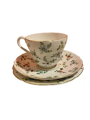 Buy Shelley Contence Fine Bone China Tea Cup, Saucer, Small Plate, Vintage • 21.61£